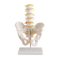 /msite/products/detail/productid/14014947/id/186332.html